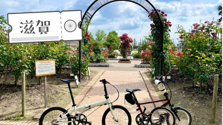 庄堺公園の「バラ園」＆「花しょうぶ」を堪能する「ご近所サイクリング」