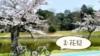 桜が咲いたら出かけよう 自転車と「お花見さんぽ」