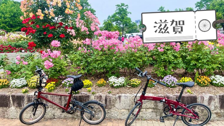 5月のお楽しみ！　庄堺公園の「バラ園」を訪ねるご近所サイクリング